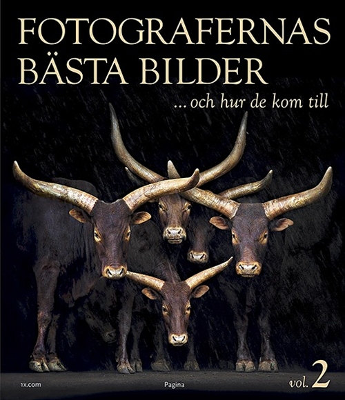 fotografernas bästa bilder