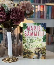 Tillbaka Till Solen Av Marie Sammeli malins Bokblogg 